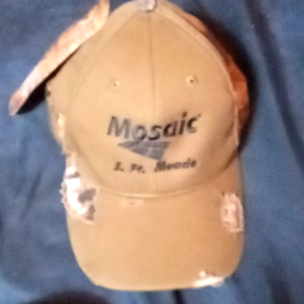 Realtree APG Adjustable Hat, NWT
